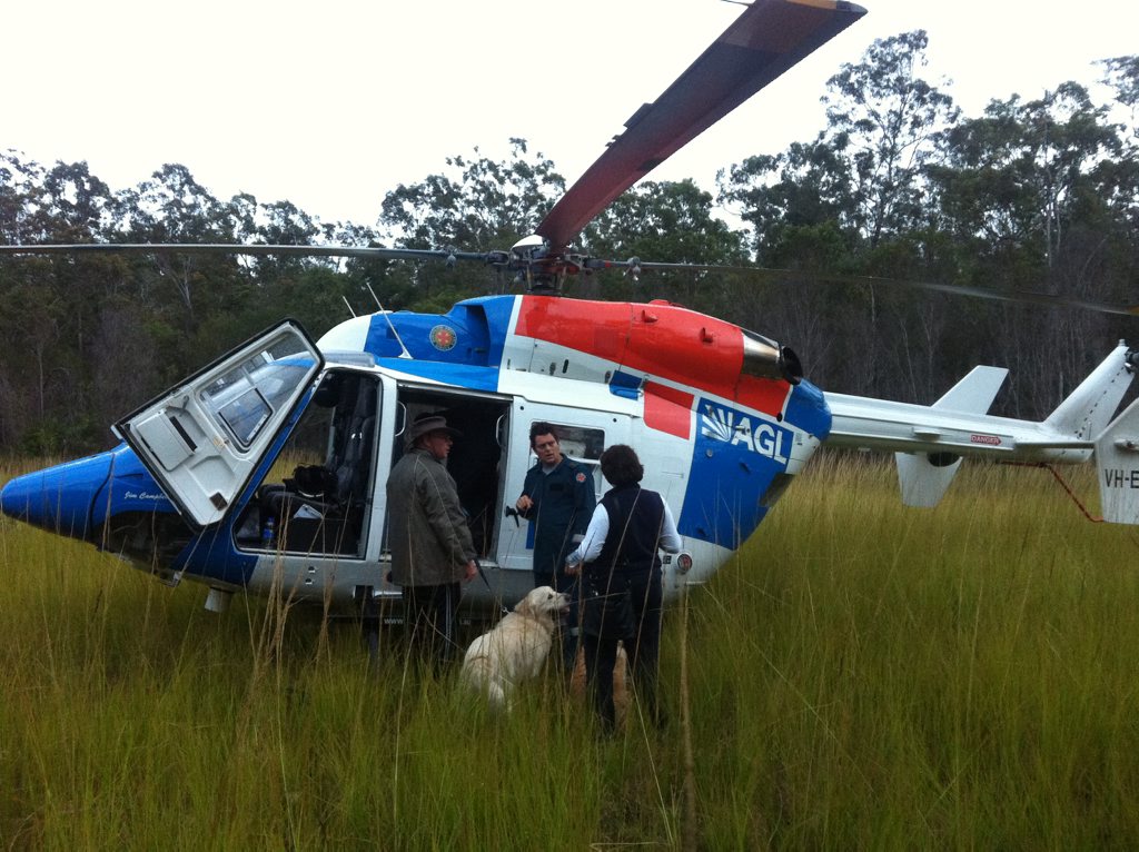The RACQ rescue chopper was called in to find a Kalbar couple lost in Wongi State Forest at the weekend. The RACQ rescue chopper was called in to find a Kalbar couple lost in Wongi State Forest at the weekend.